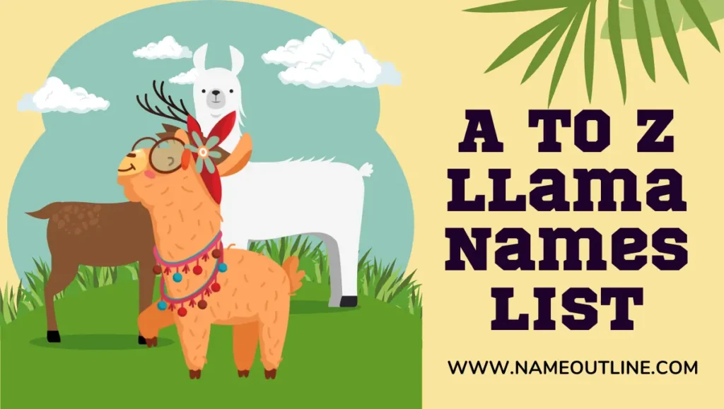 A To Z Llama Names List