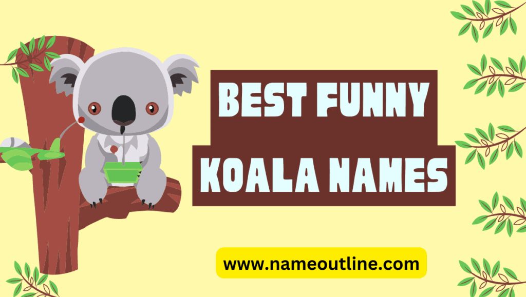 Best Funny Koala Names