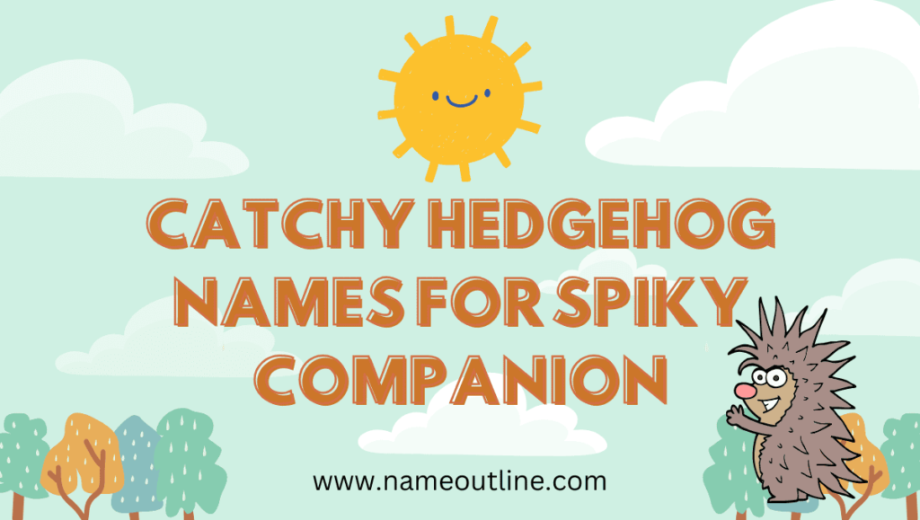 Catchy Hedgehog Names For Spiky Companion
