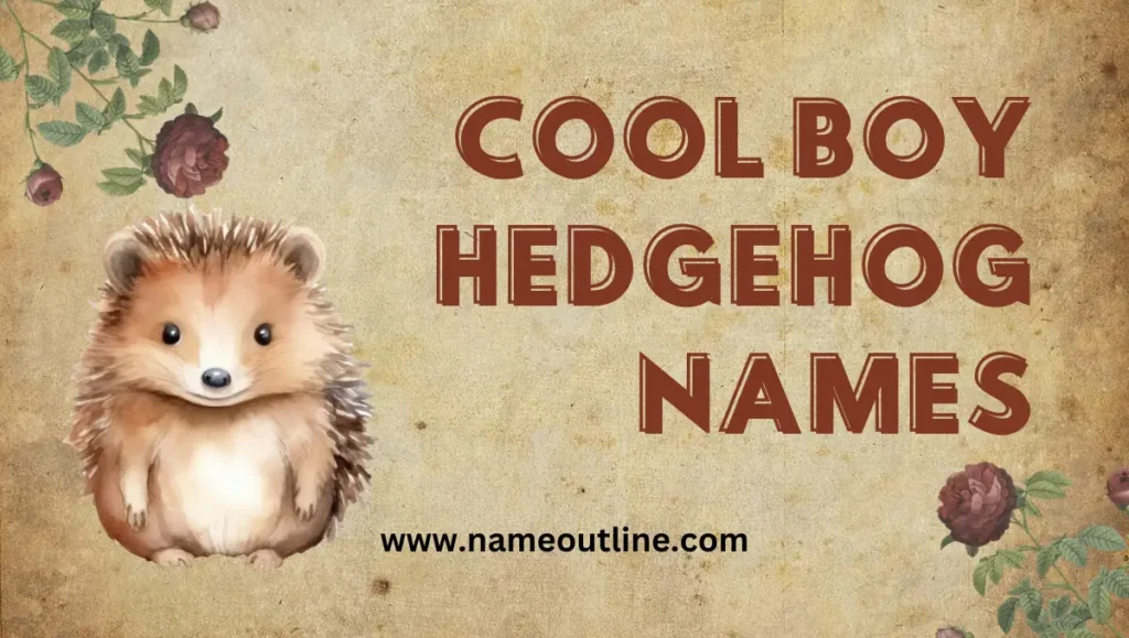 Cool Boy Hedgehog Names