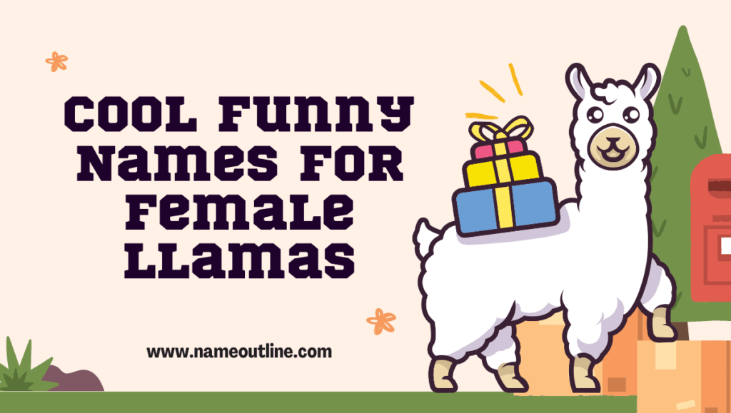 Cool Funny Names for Female Llamas