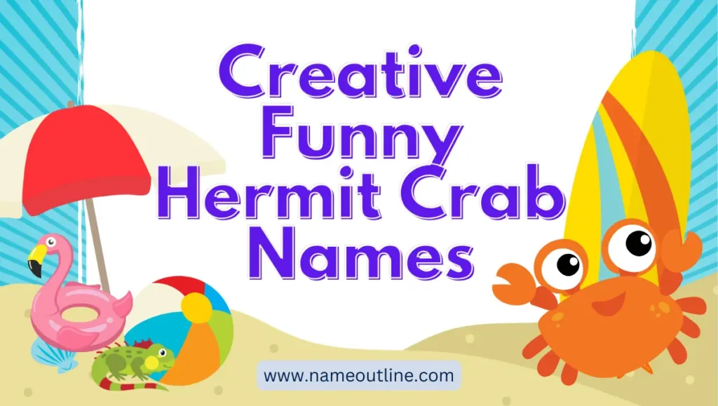 Creative Funny Hermit Crab Names
