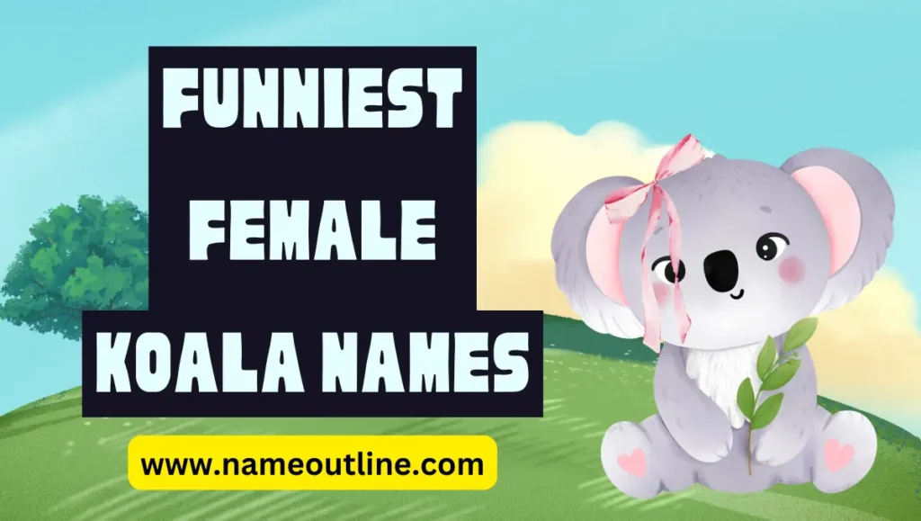 Funniest Female Koala Names