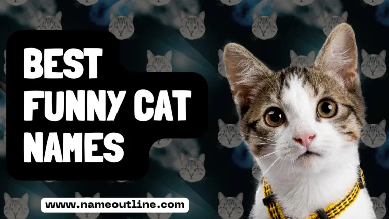 Perfectly Hilarious: Best Funny Cat Names for Your Amusement