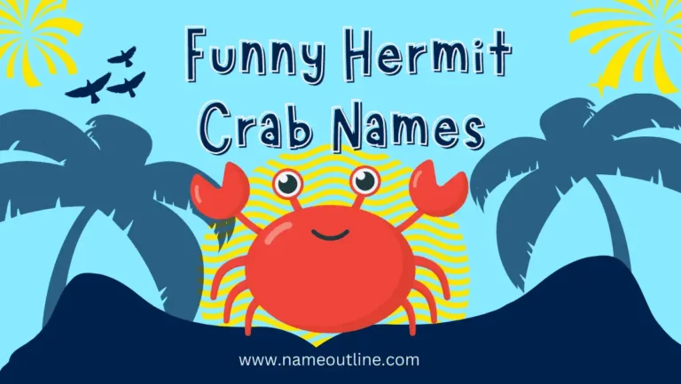 Dive into Hilarity with Funny Hermit Crab Names