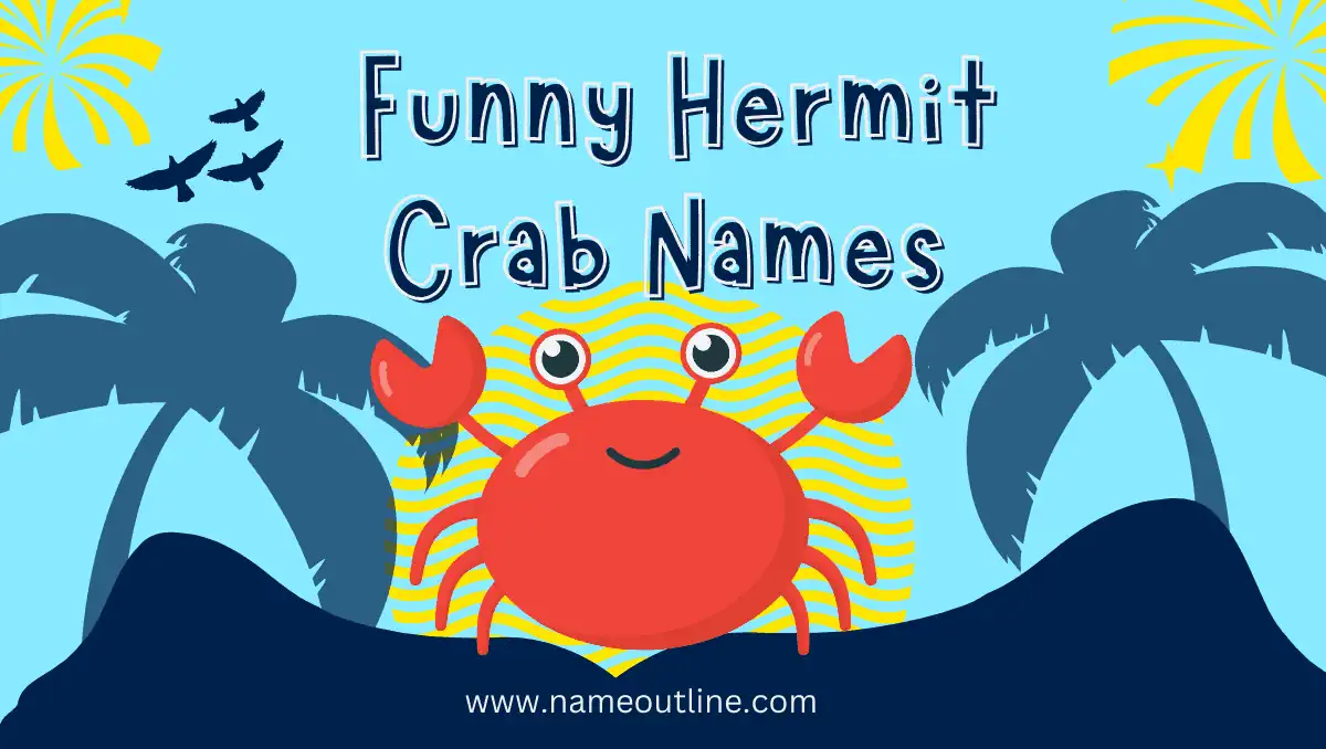  Funny Hermit Crab Names