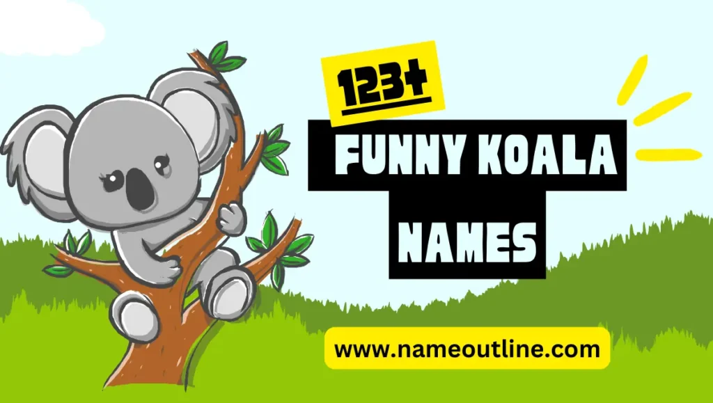 Funny Koala Names