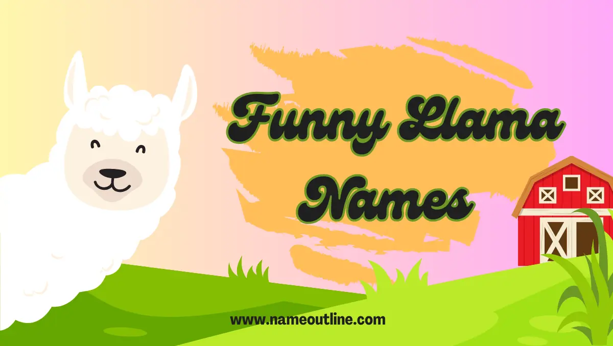 Funny Llama Names