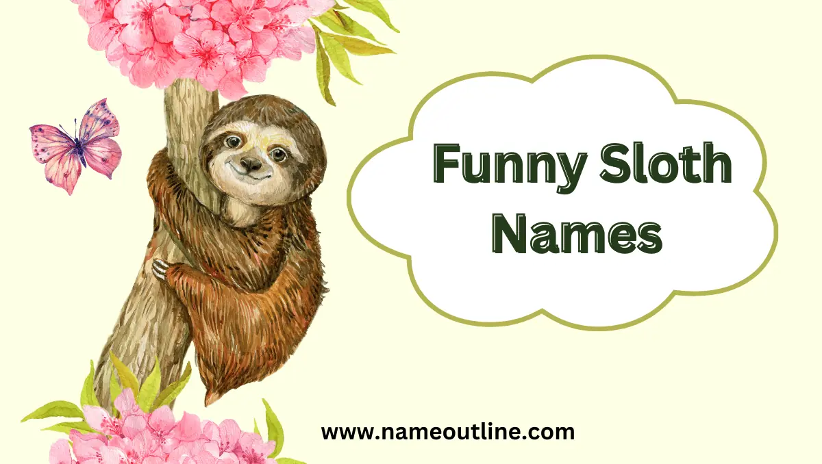  Funny Sloth Names