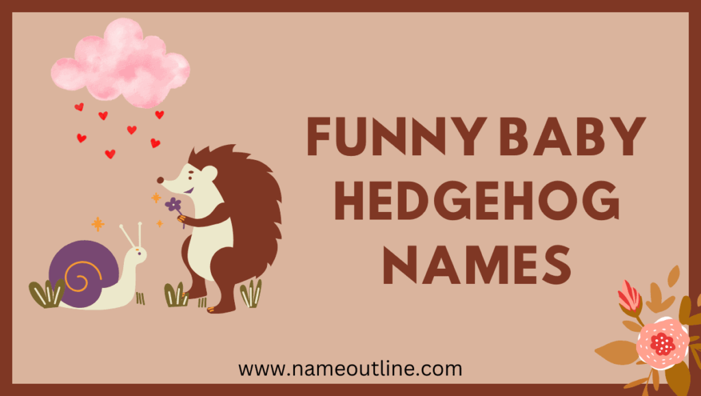 Funny Baby Hedgehog Names