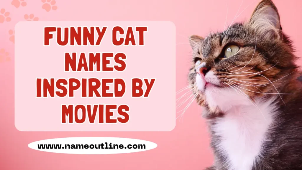 Funny Cat Names Inspired by Movies