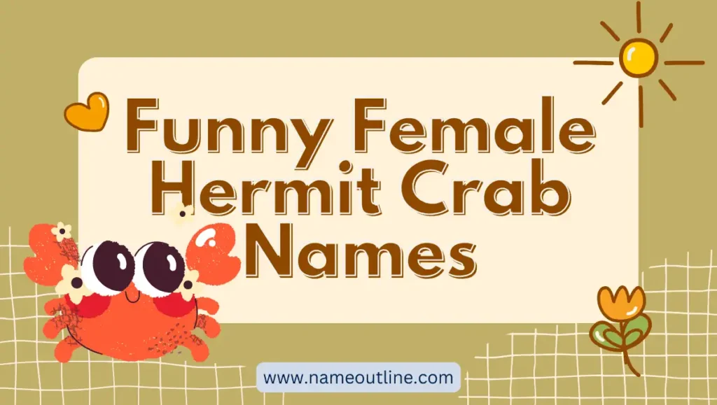 Funny Female Hermit Crab Names
