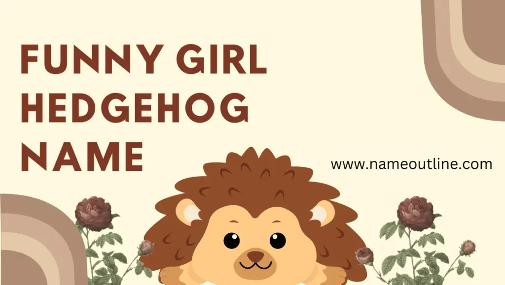 Funny Girl Hedgehog Name