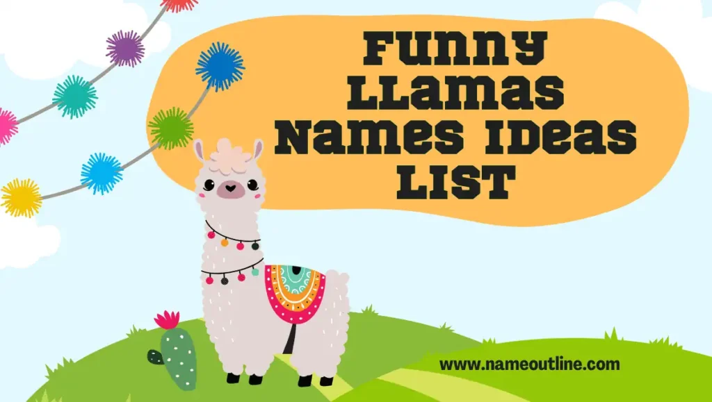 Funny Llamas Names Ideas List
