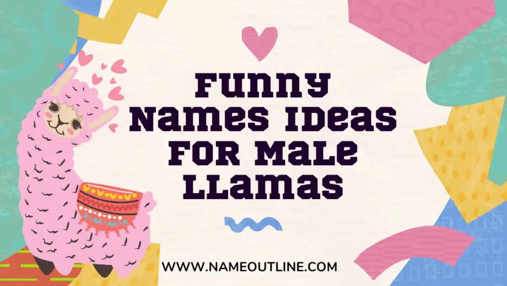 Funny Names Ideas for Male Llamas