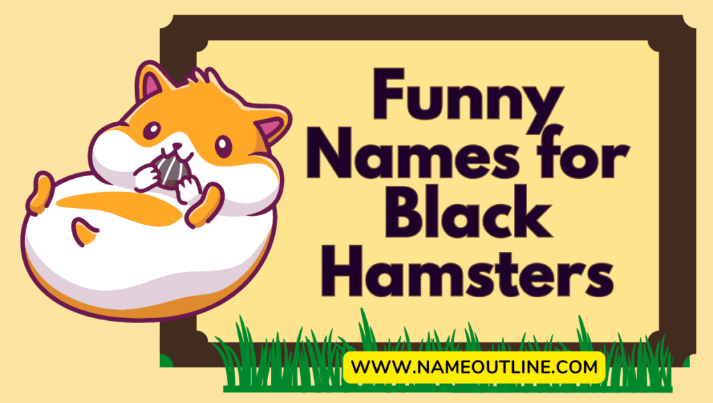 Funny Names for Black Hamsters