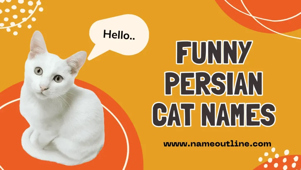 Funny Persian Cat Names