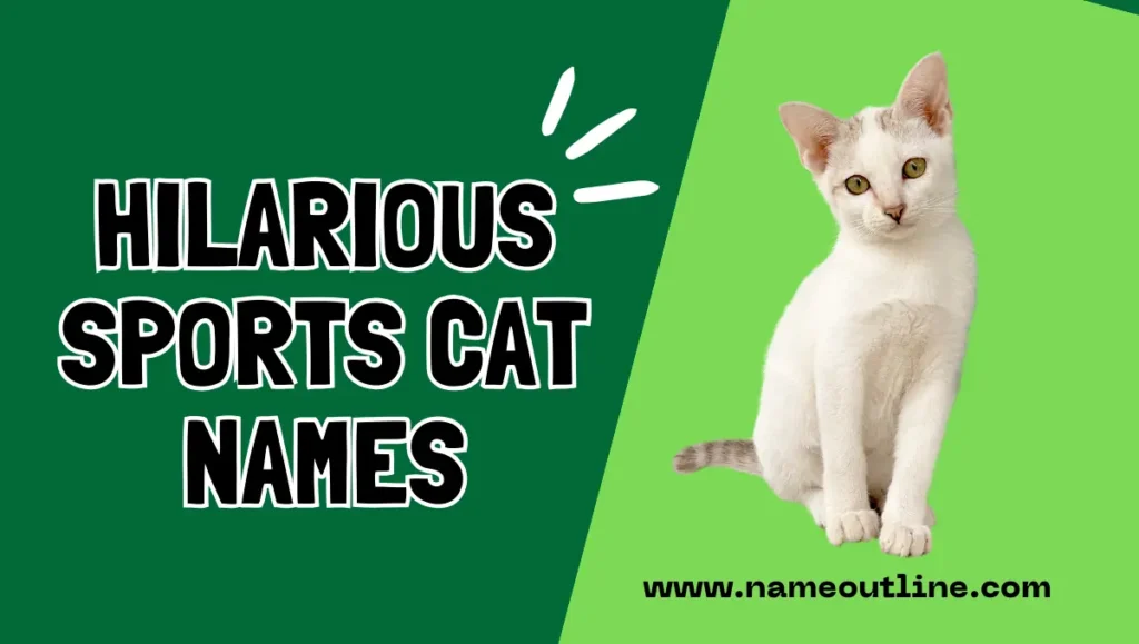 Hilarious Sports Cat Names