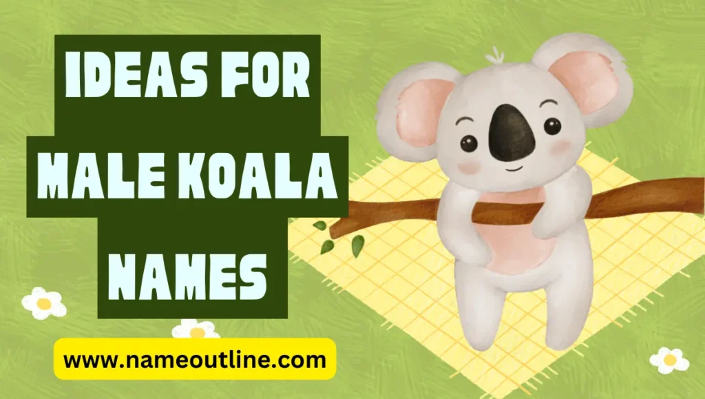 Ideas for Male Koala Names 