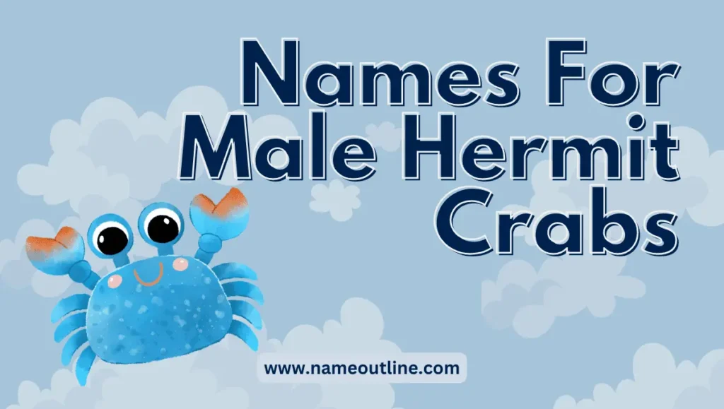 Names For Male Hermit Crabs