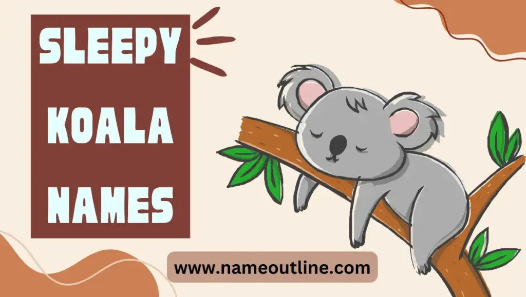 Sleepy Koala Names