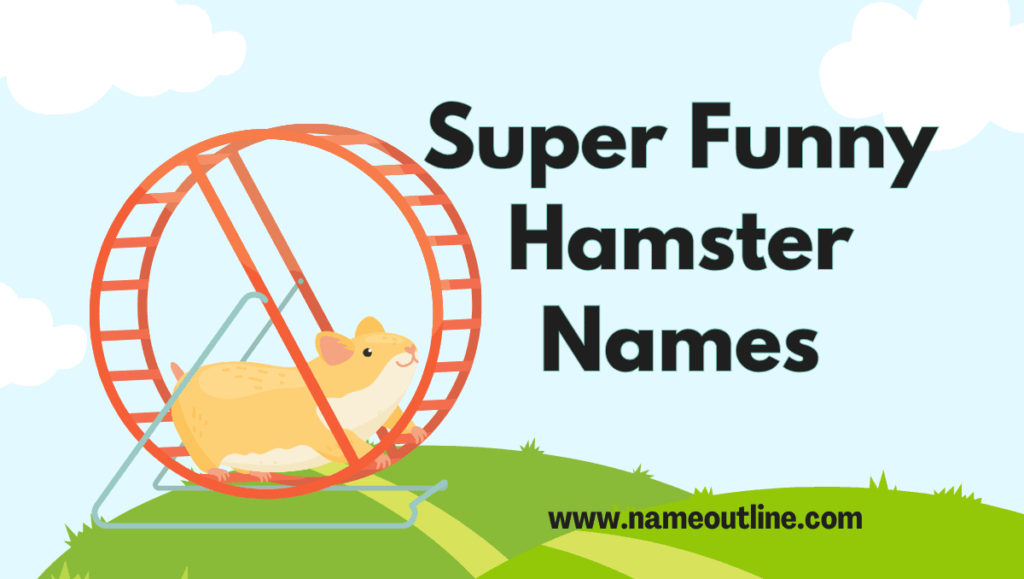 Super-Funny Hamster Names