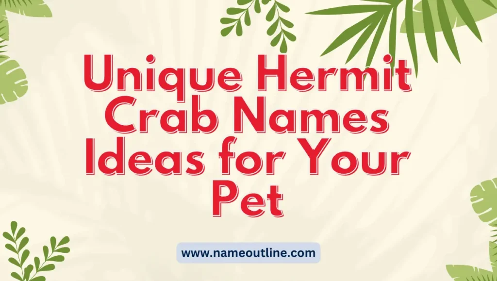 Unique Hermit Crab Names Ideas for Your Pet 