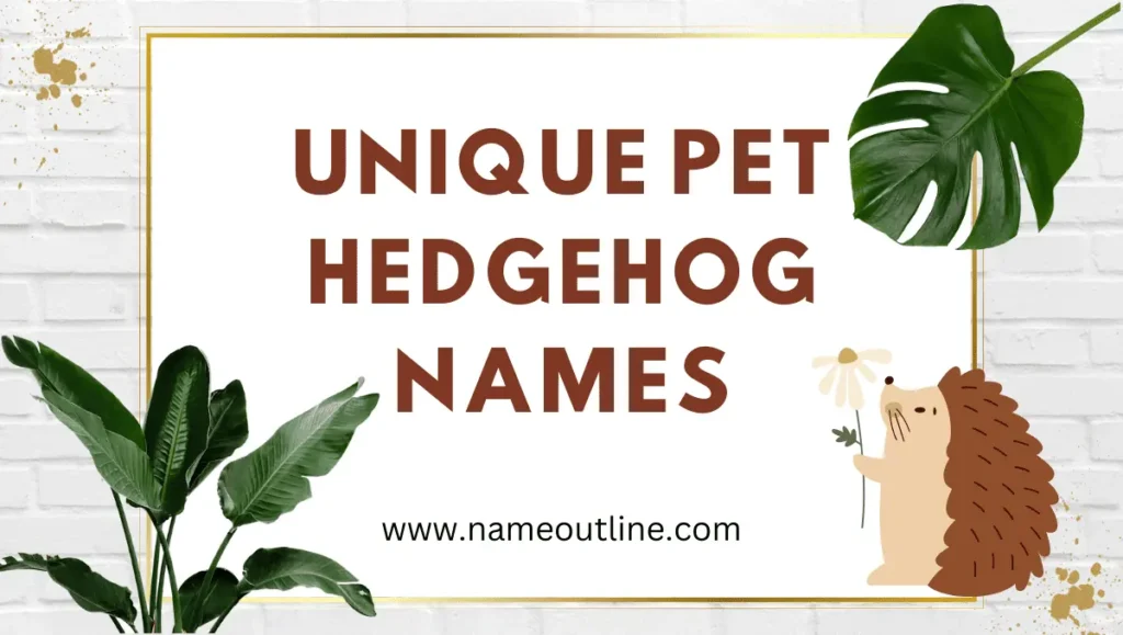 Unique Pet Hedgehog Names