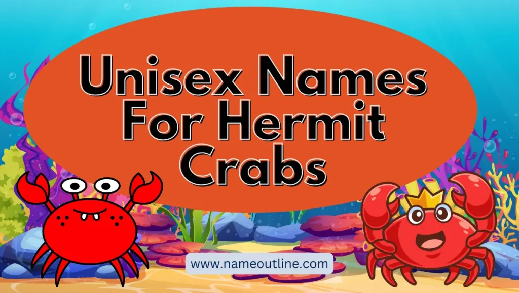 Unisex Names For Hermit Crabs