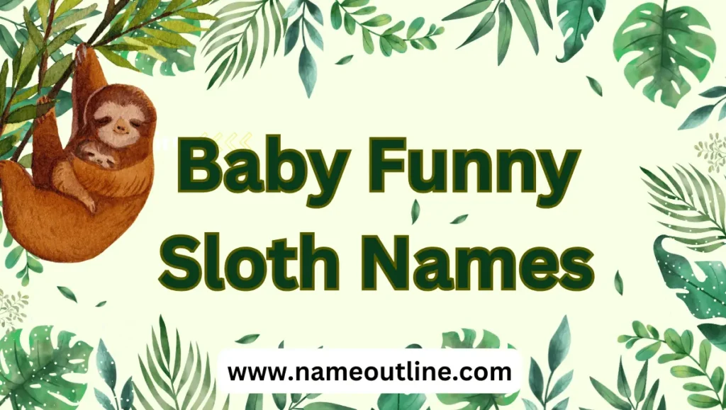 Baby Dunny Sloth Names