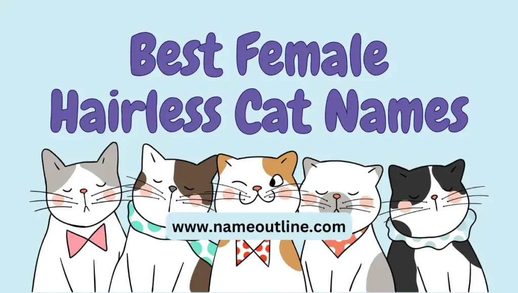 Best Female Hairless Cat Names