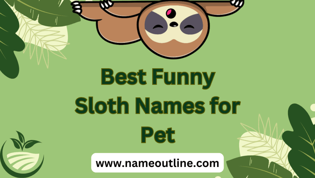 Best Funny Sloth Names for Pet