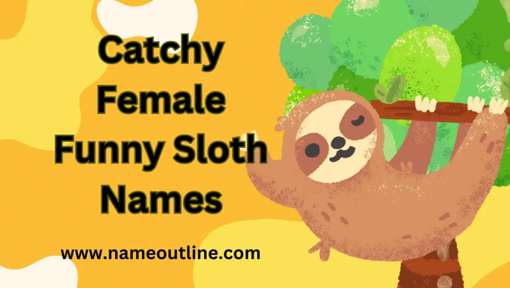 Catchy Female Funny Sloth Names