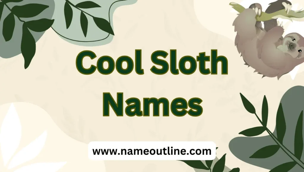 Cool Sloth Names