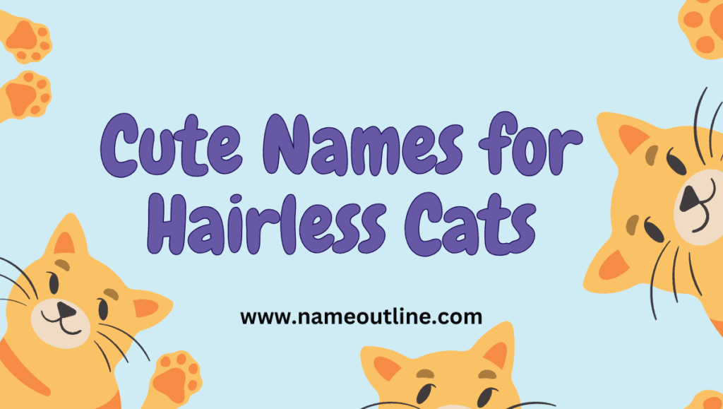 Cute Names for Hairless Cats