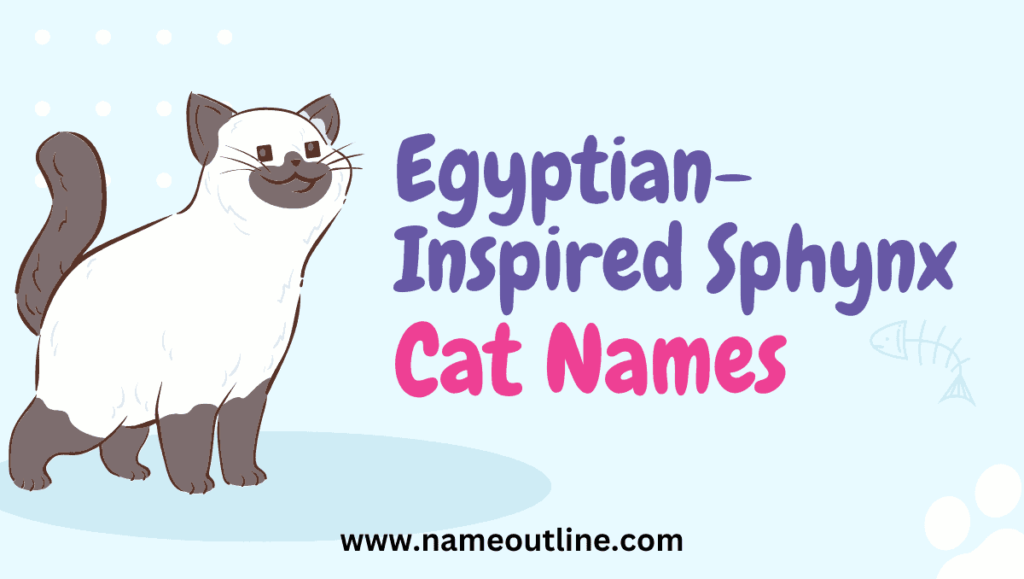 Egyptian-Inspired Sphynx Cat Names