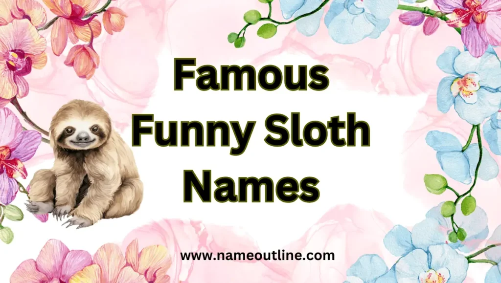 Famous Funny Sloth Names