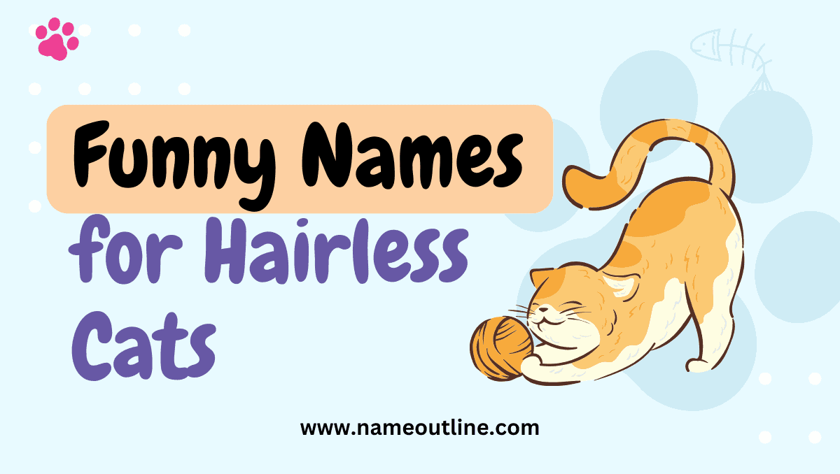  Funny Names for Hairless Cats
