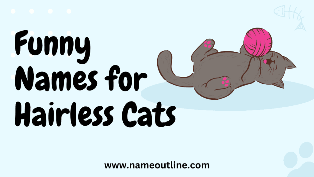 Funny Names for Hairless Cats