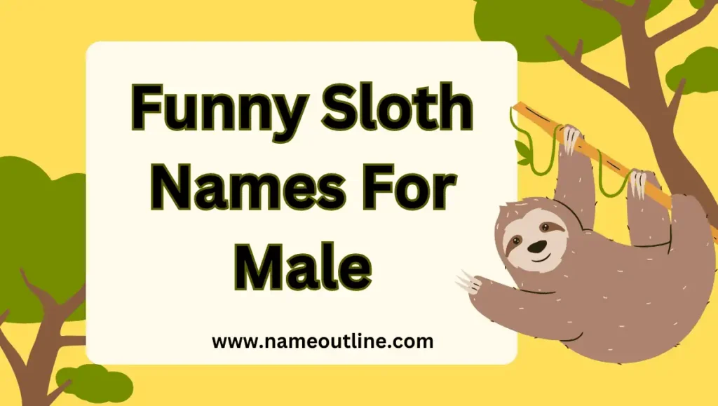 Funny Sloth Names For Male