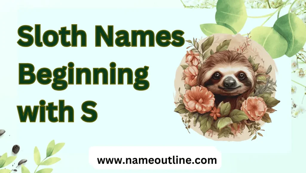 Sloth Names Beginning with S
